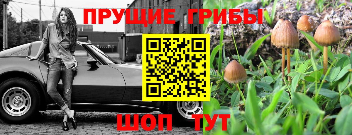 Псилоцибиновые грибы MAGIC MUSHROOMS Туапсе