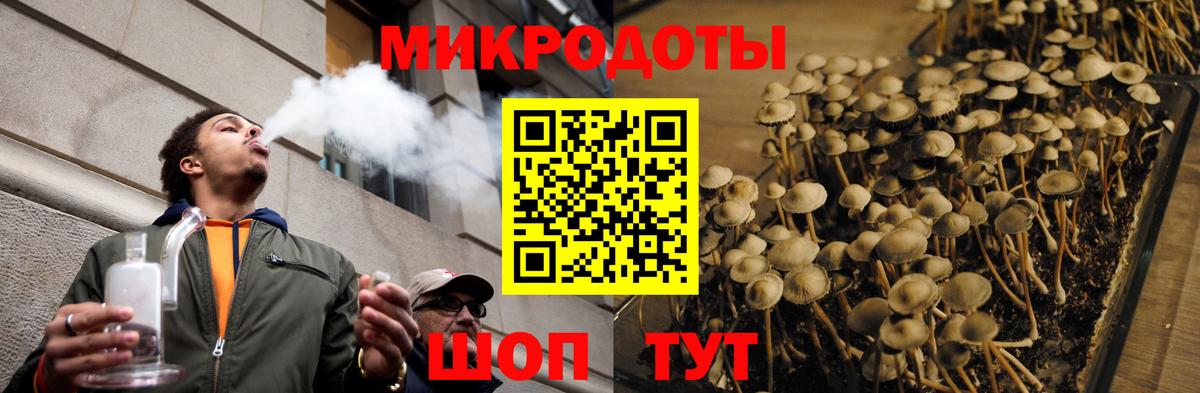 Туапсе  Галлюциногенные грибы Psilocybe  Вход с VPN  Псилоцибиновые грибы прущие грибы 